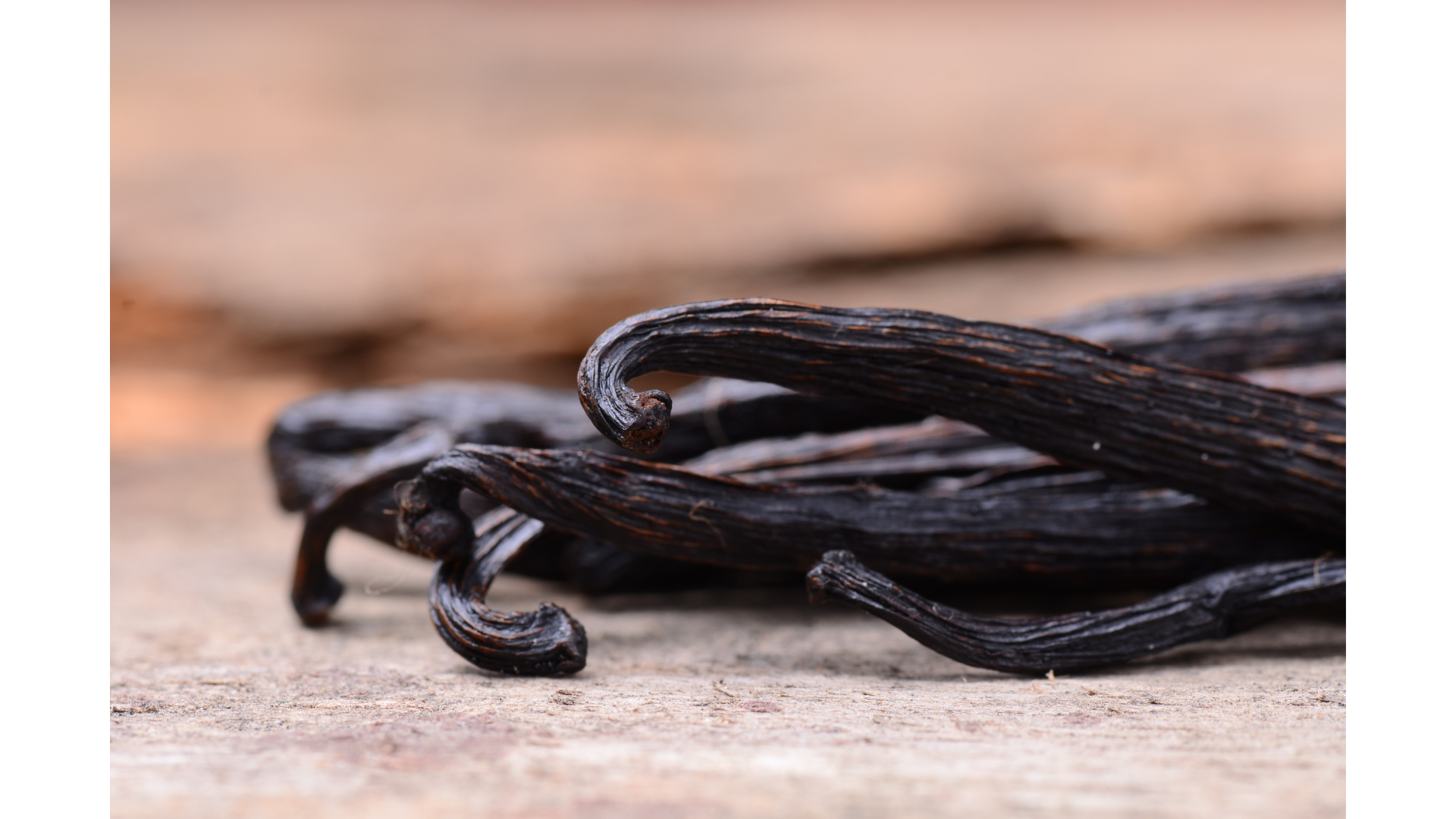 VANILLA TAHITENSIS - Image 1